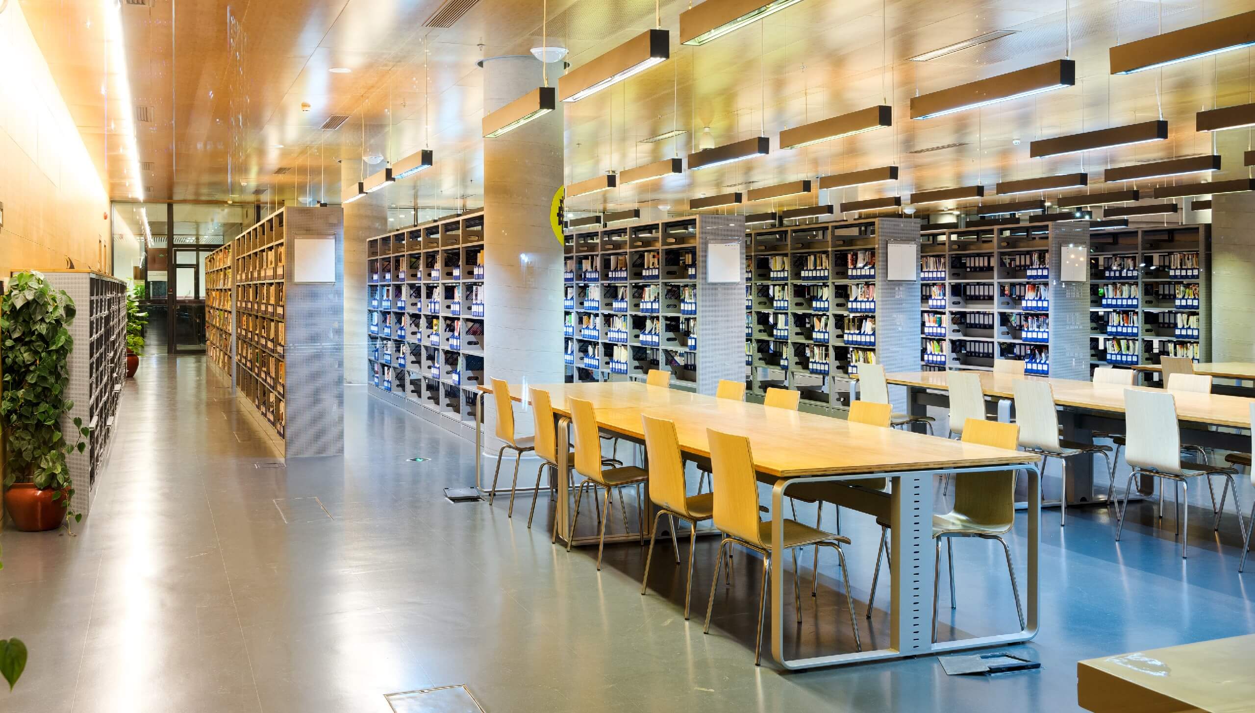 Empty library in local government