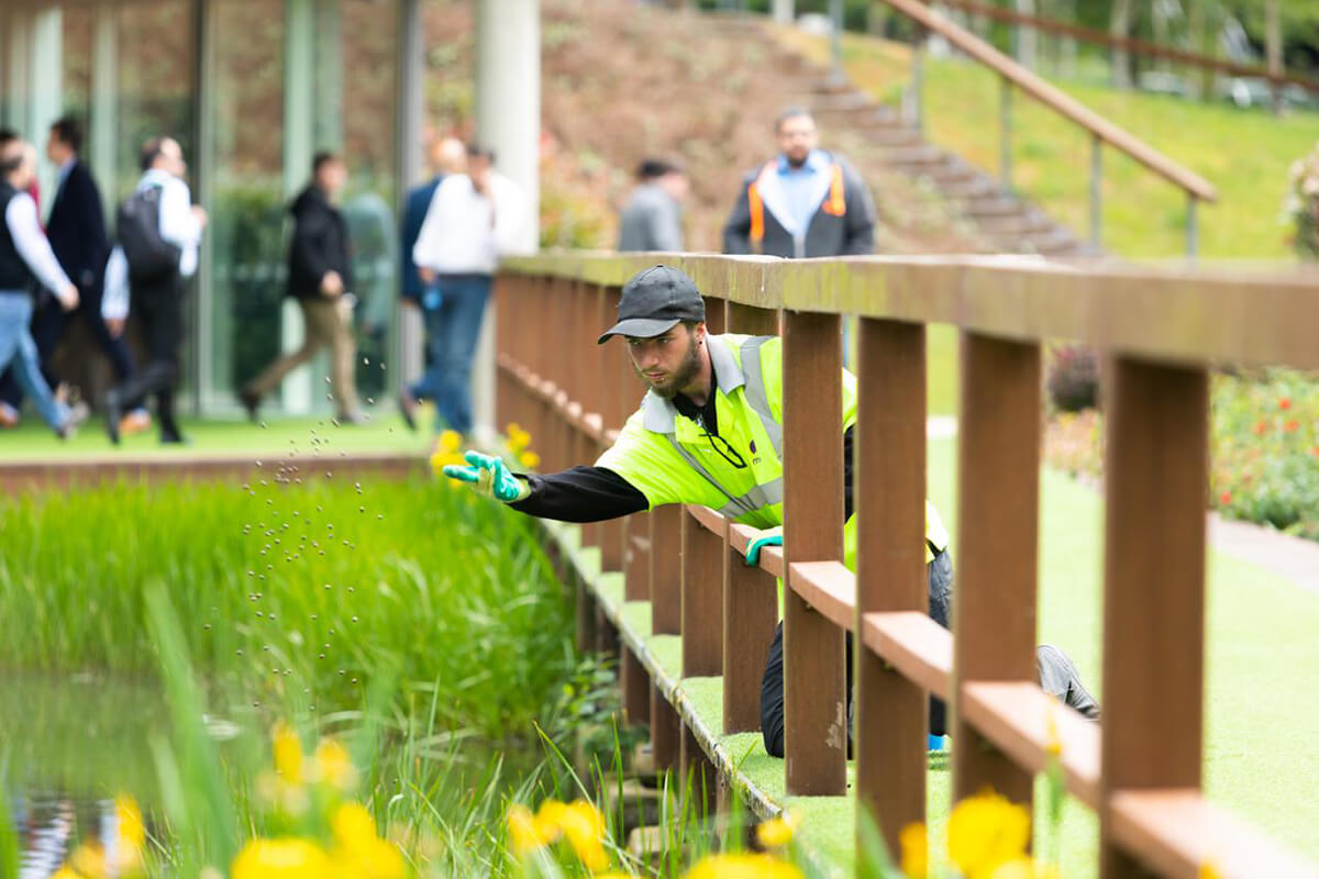 Mitie employee in high vis scattering wildflower seeds into a green area